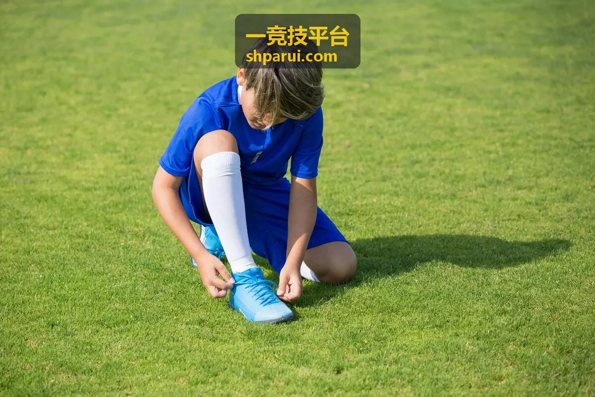 一竞技平台案例极风电竞社